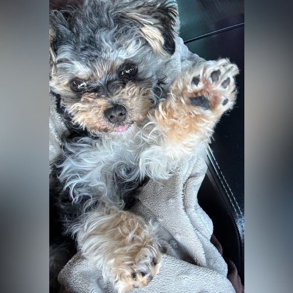 𝕎𝔼𝕃ℂ𝕆𝕄𝔼 𝕋𝕆 𝕄𝕐 ℂ𝕃𝕆𝕊𝔼𝕋 - Picture 3 of 8